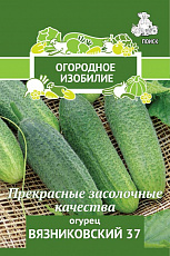 Семена Огурец Вязниковский 37 цв/п 0,5 г ОИ Поиск